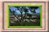 vue-g-tlemcen03.jpg